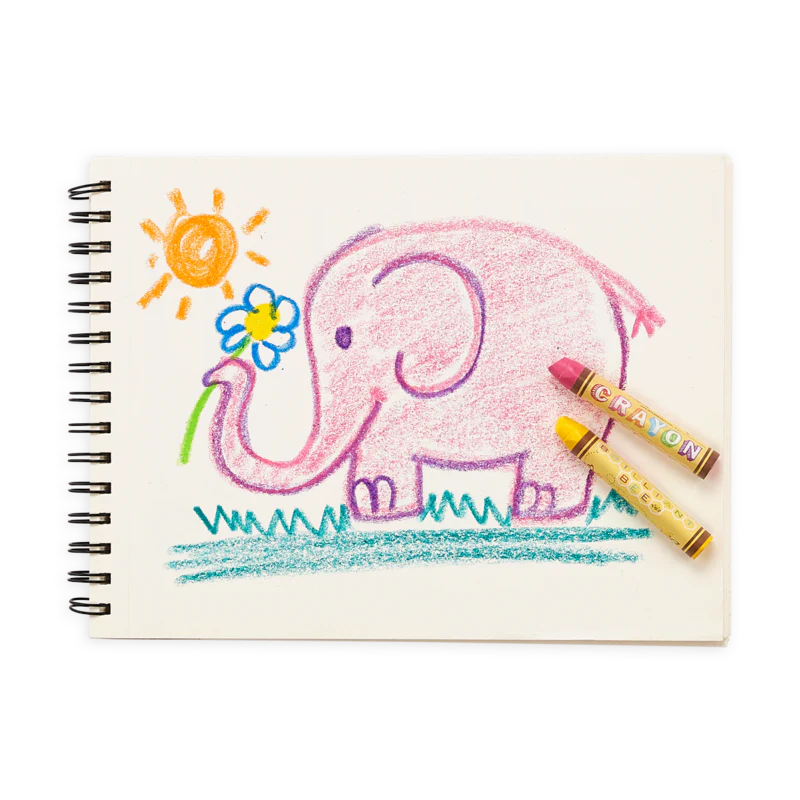 Brilliant Bee Crayons - Set of 12 - Image 4