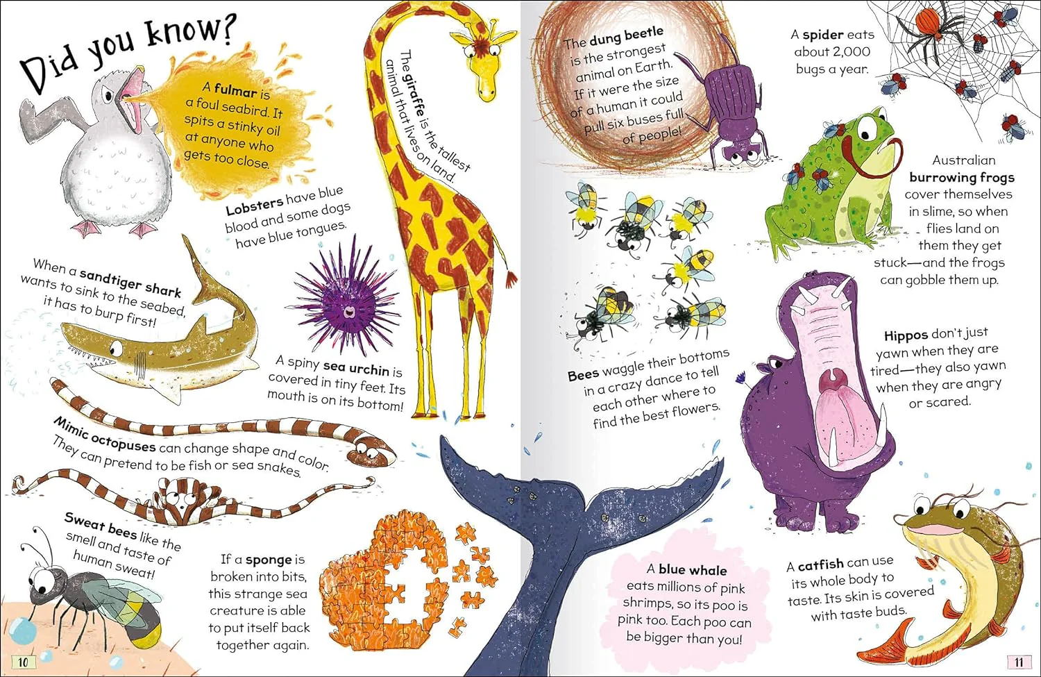 Curious Questions & Answers about Animals - Image 6