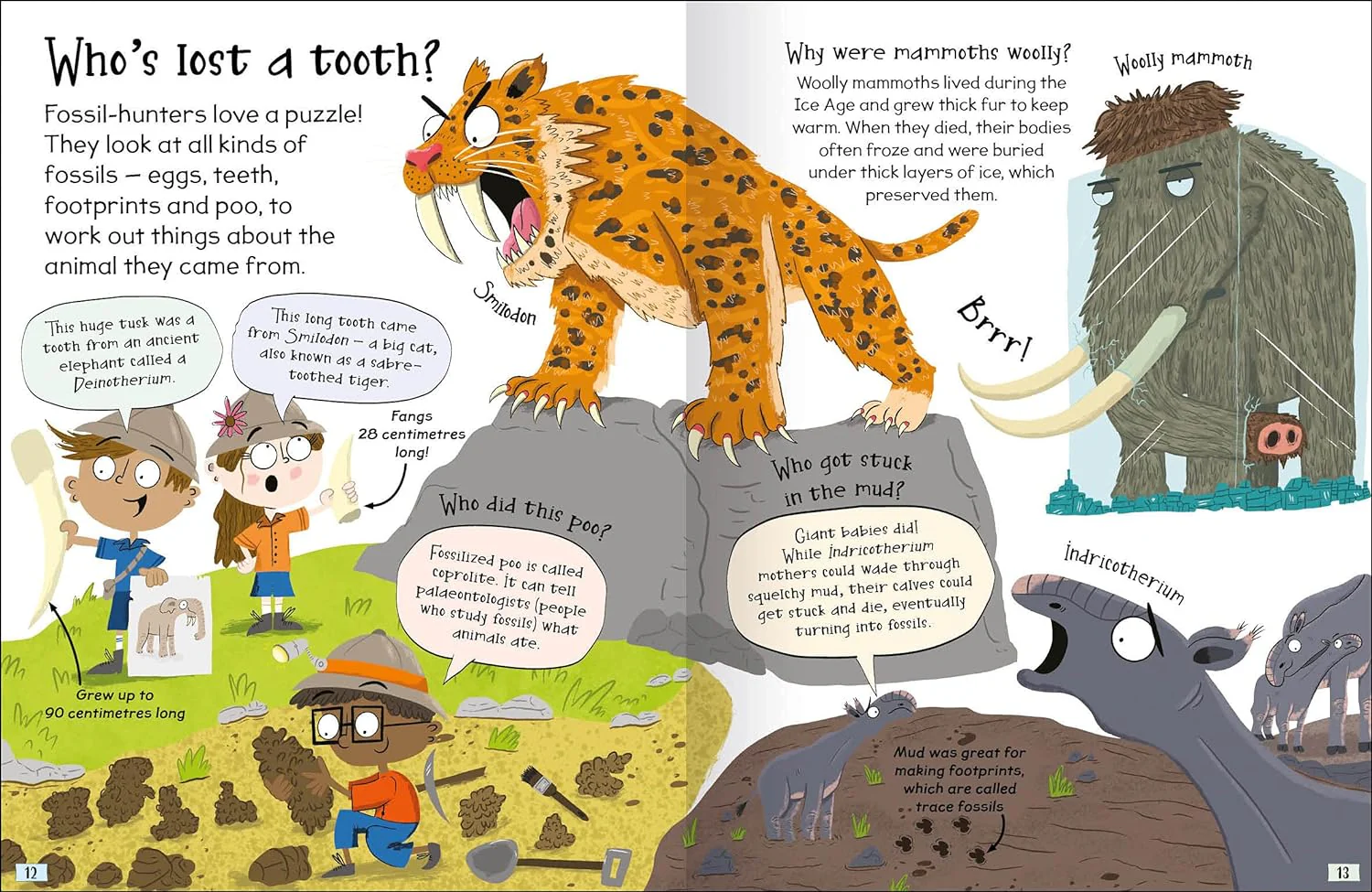 Curious Questions & Answers about Prehistoric Animals - Image 7