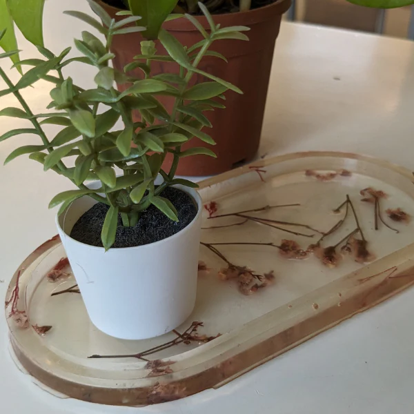 DIY Resin Trinket Tray Kit - Image 6
