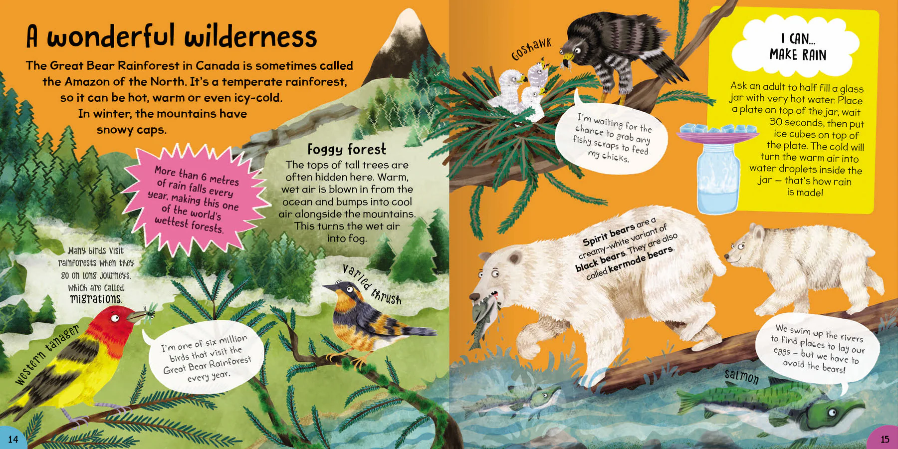 First Rainforest Book - Image 2