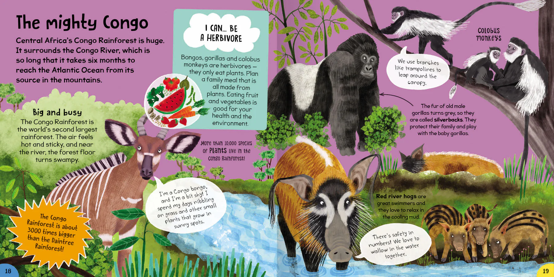 First Rainforest Book - Image 3