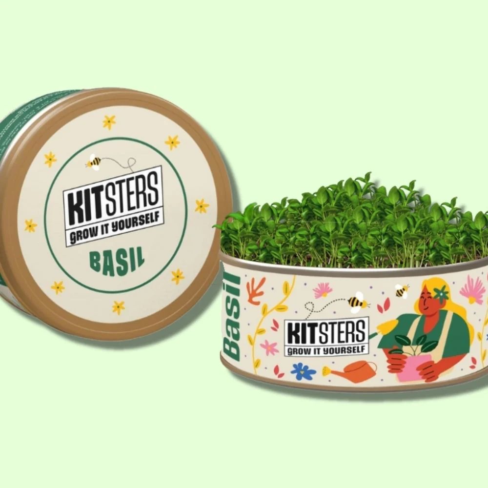 Grow in a can : Basil