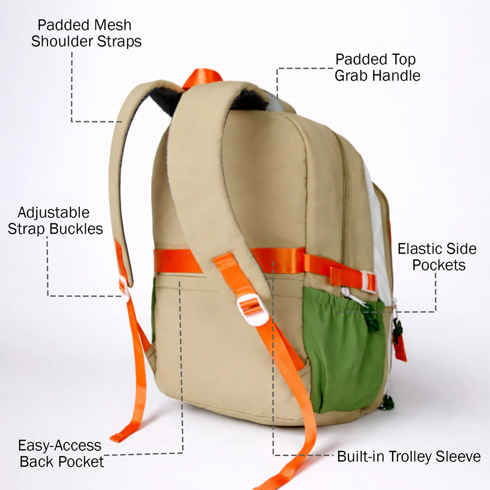 Orange, Brown & Green Color-Block with Character Pouch School Backpack for Kids - Image 5