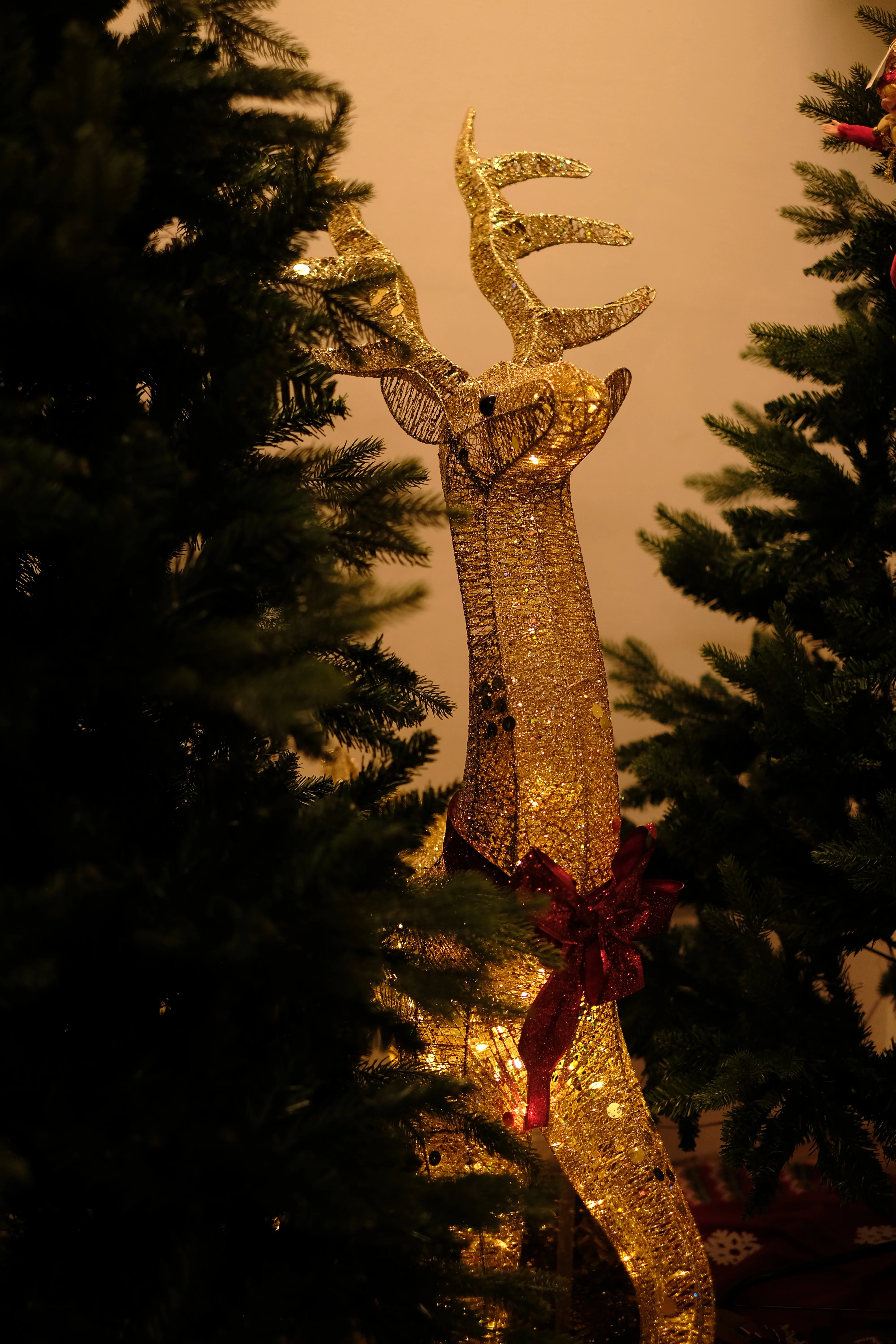 Rudolph, Shimmering Gold LED Reindeer Decoration by SWEN - 1.2 M - Image 5