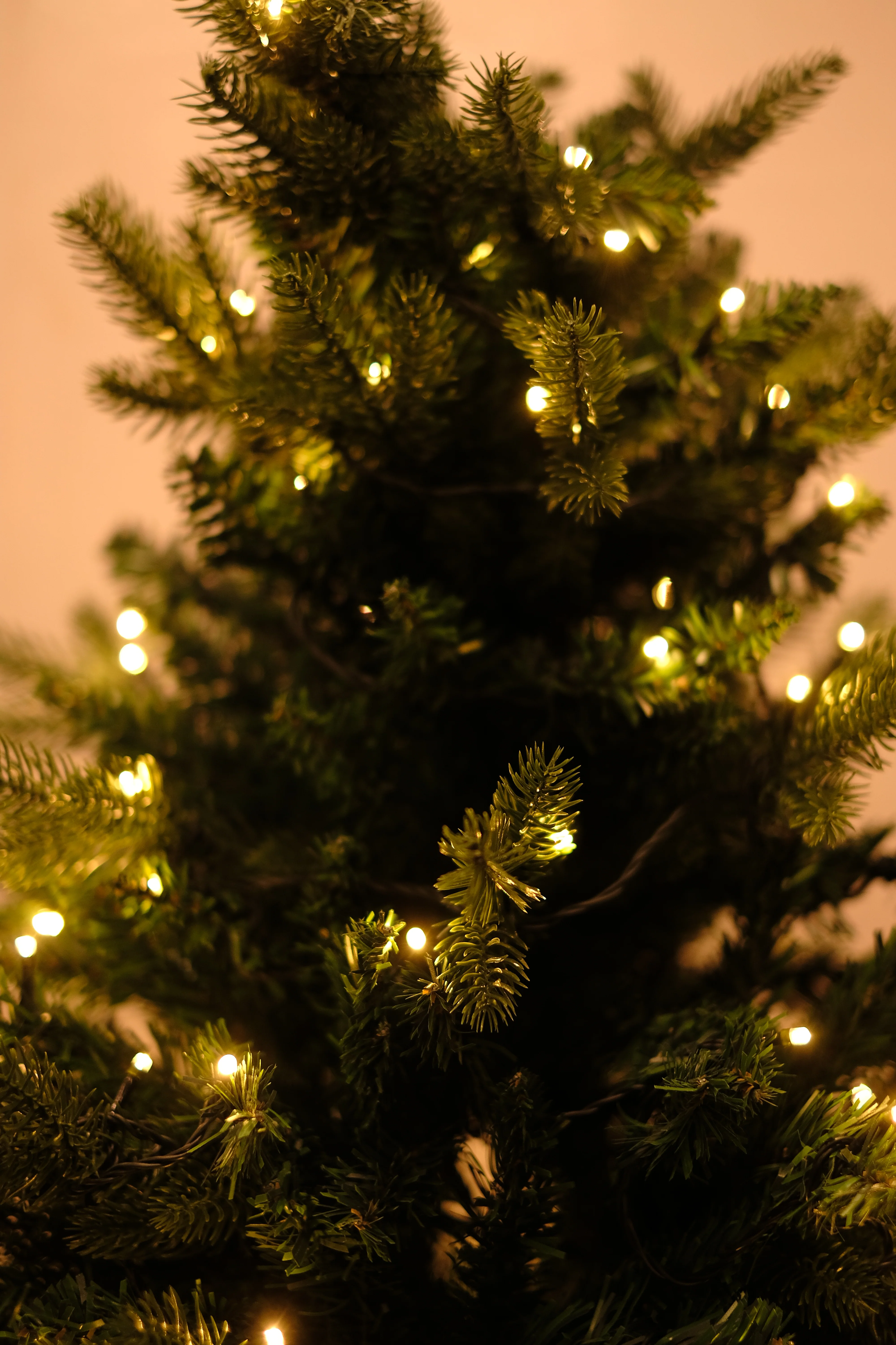 SWEN 6 feet pre-lit MELROSE christmas tree - Image 4