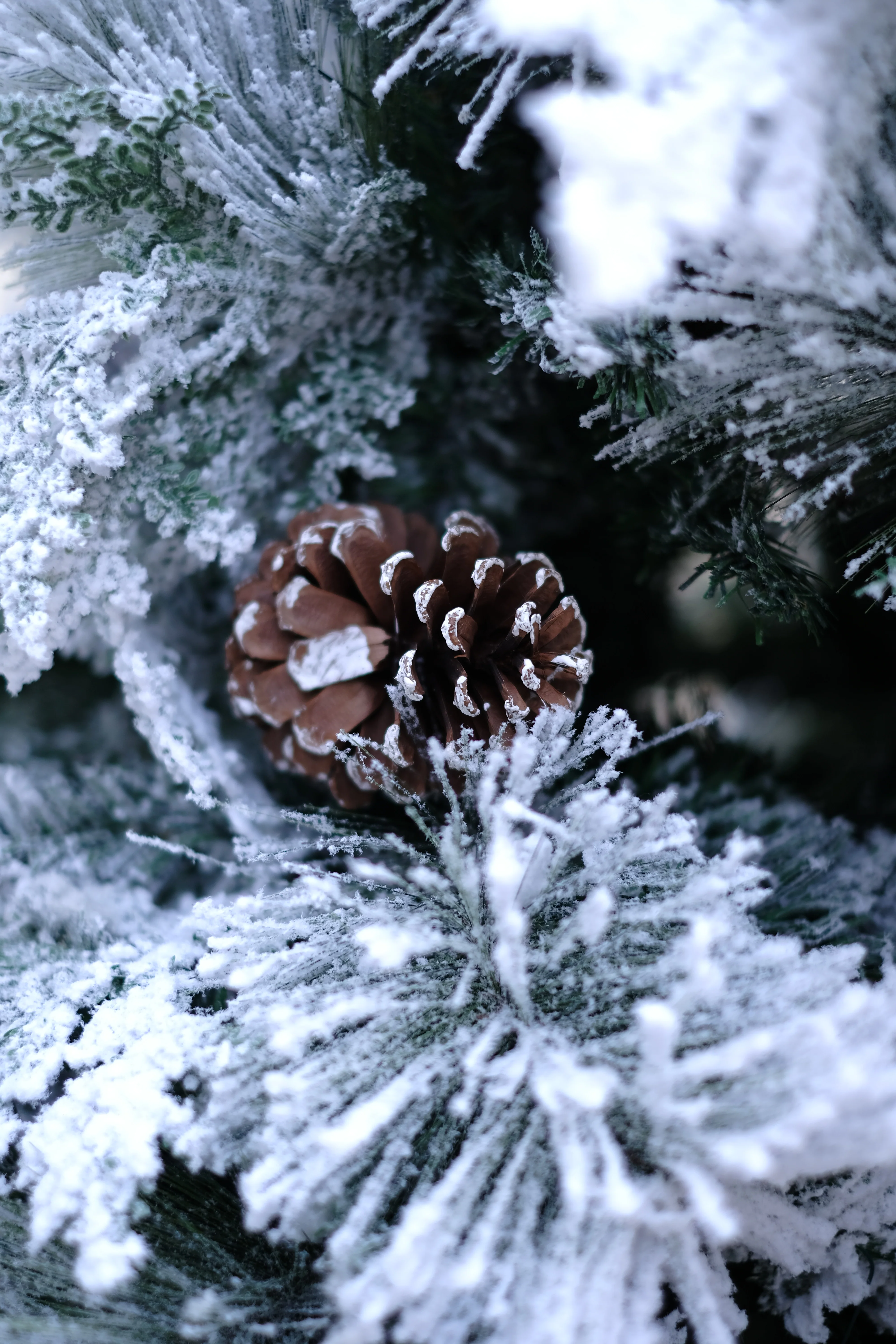 SWEN 8 feet TRUE STAR christmas tree with broad pine leaves, frosting and pine cones - Image 2