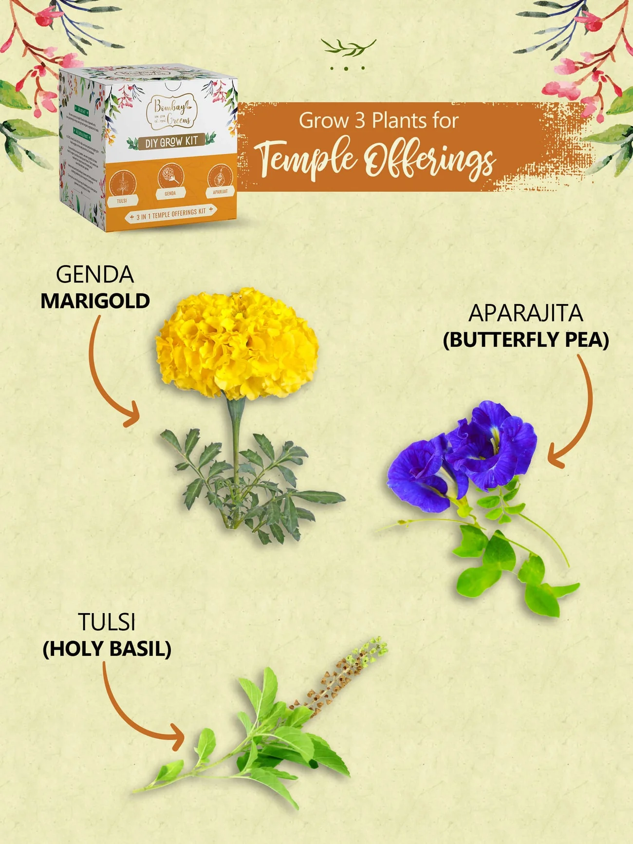 Temple Offerings Kit - Tulsi, Genda, Aparajita - Image 4