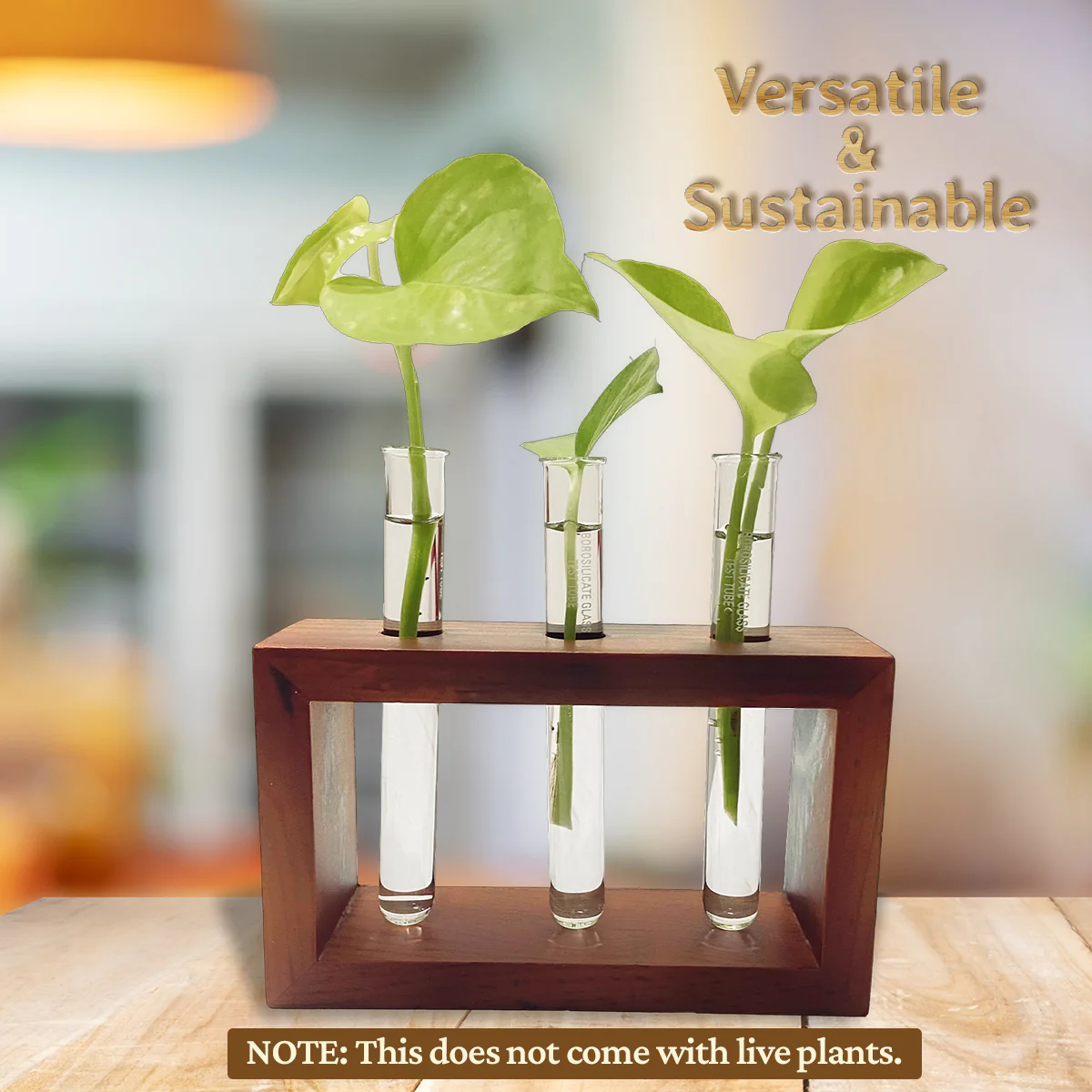 Test Tube Planter with Wooden Holder - Image 3