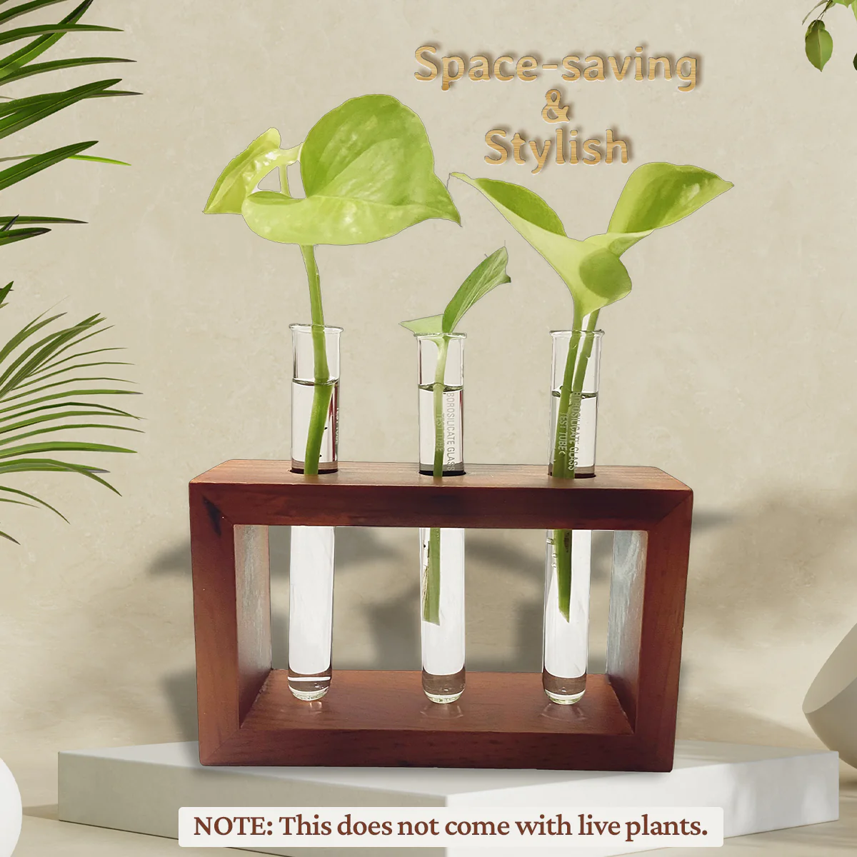 Test Tube Planter with Wooden Holder - Image 4