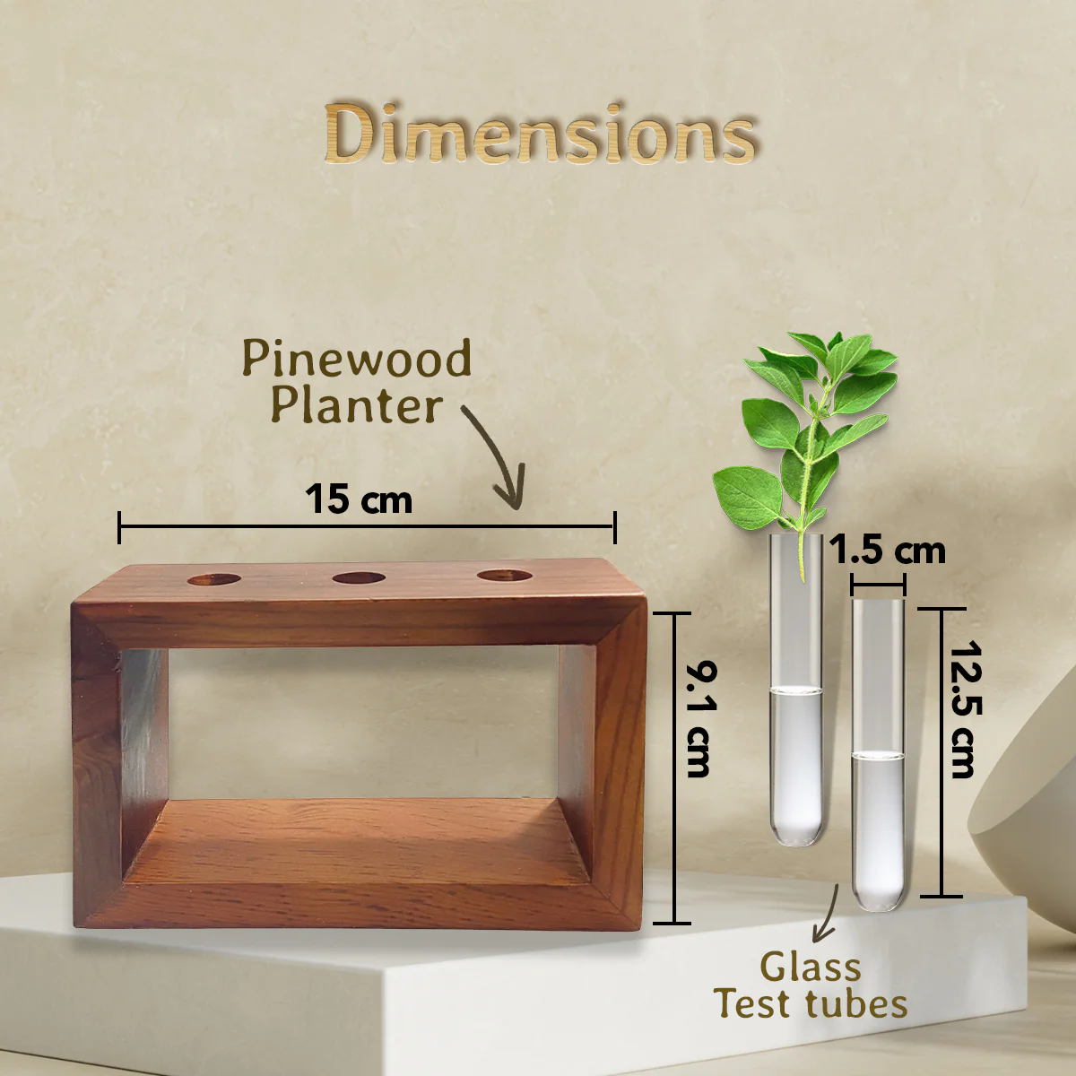 Test Tube Planter with Wooden Holder - Image 5