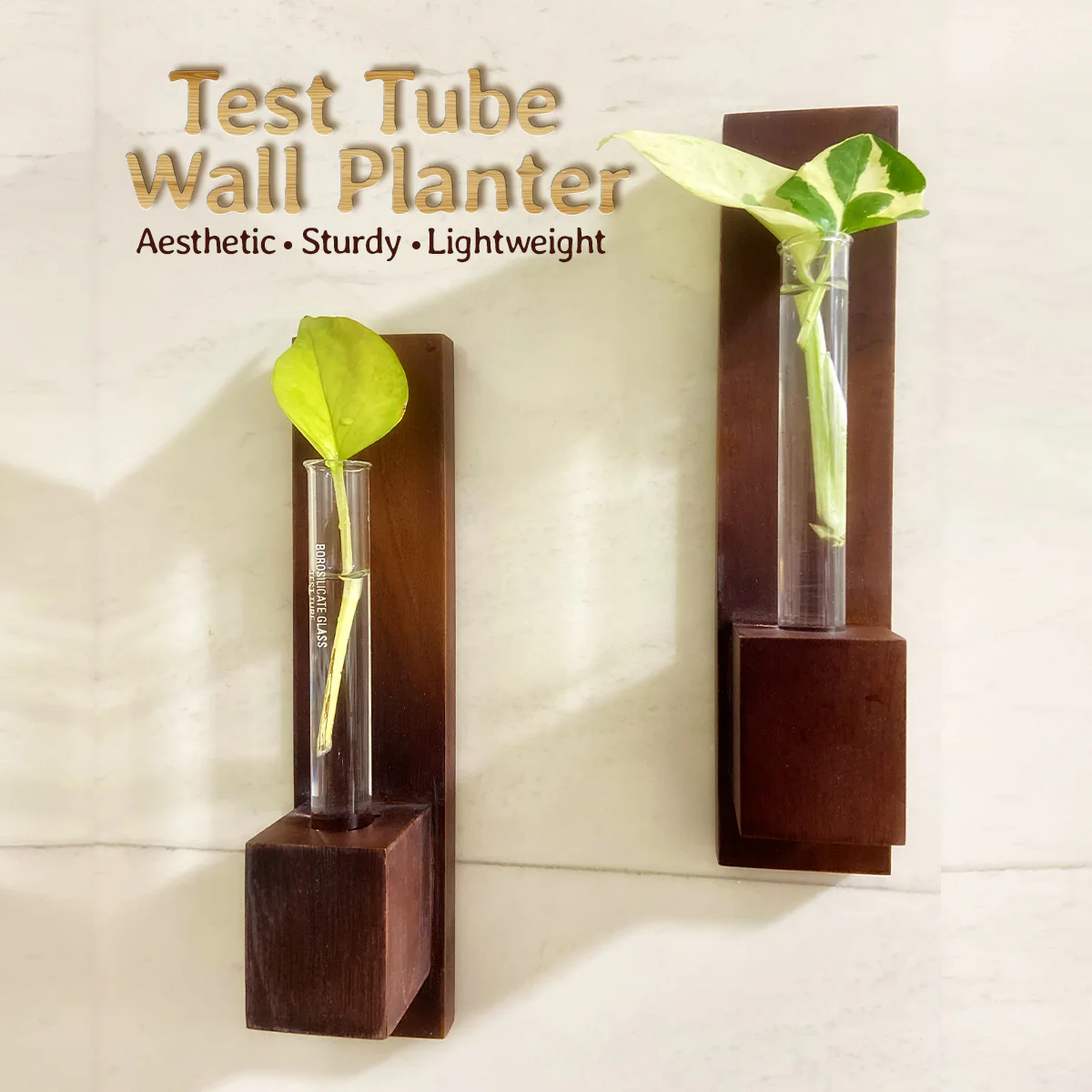 Test Tube Wall Planter with Wooden Holder (set of 3) - Image 2