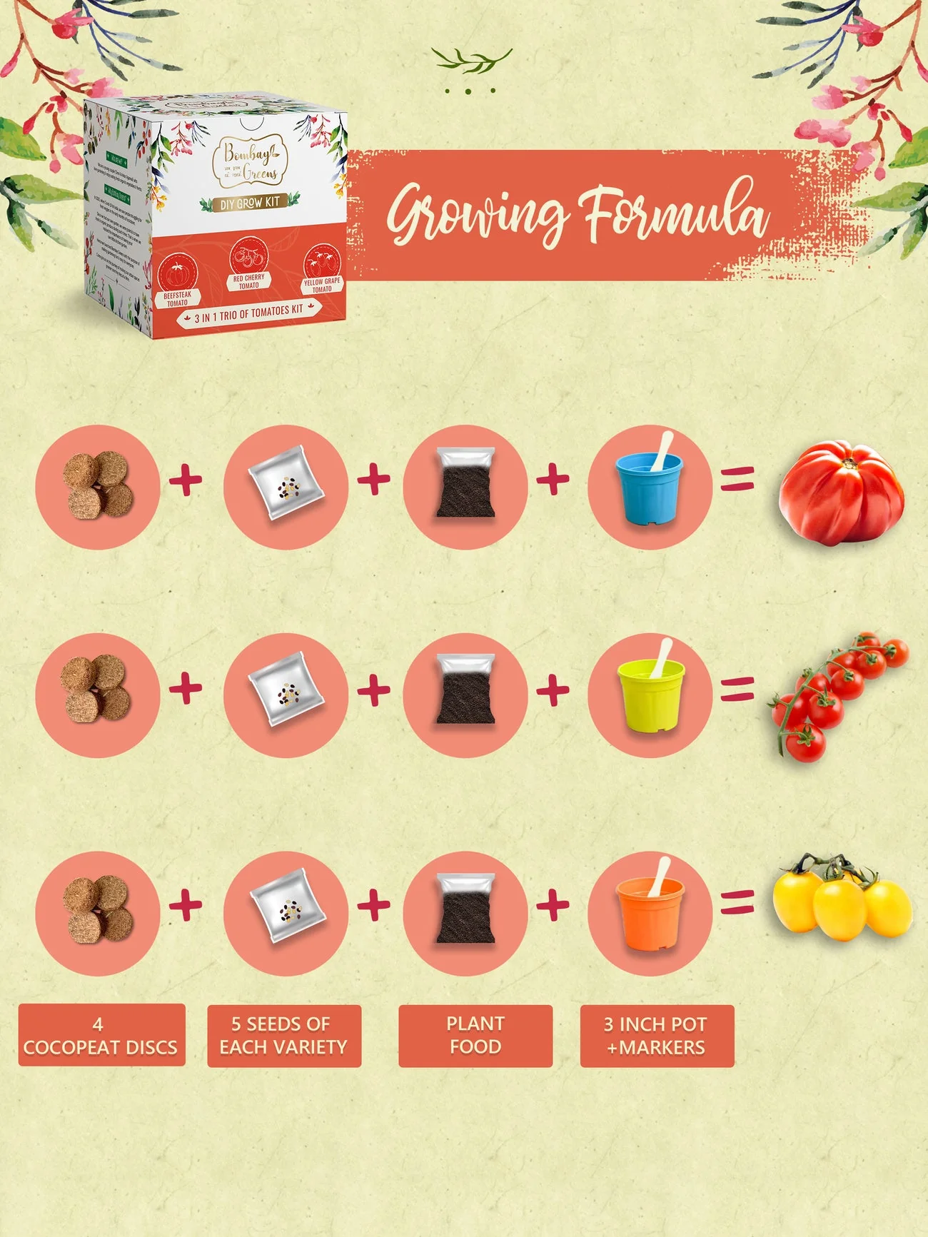 Tomato Kit - Grow Beefsteak, Red Cherry, Yellow Grape - Image 3