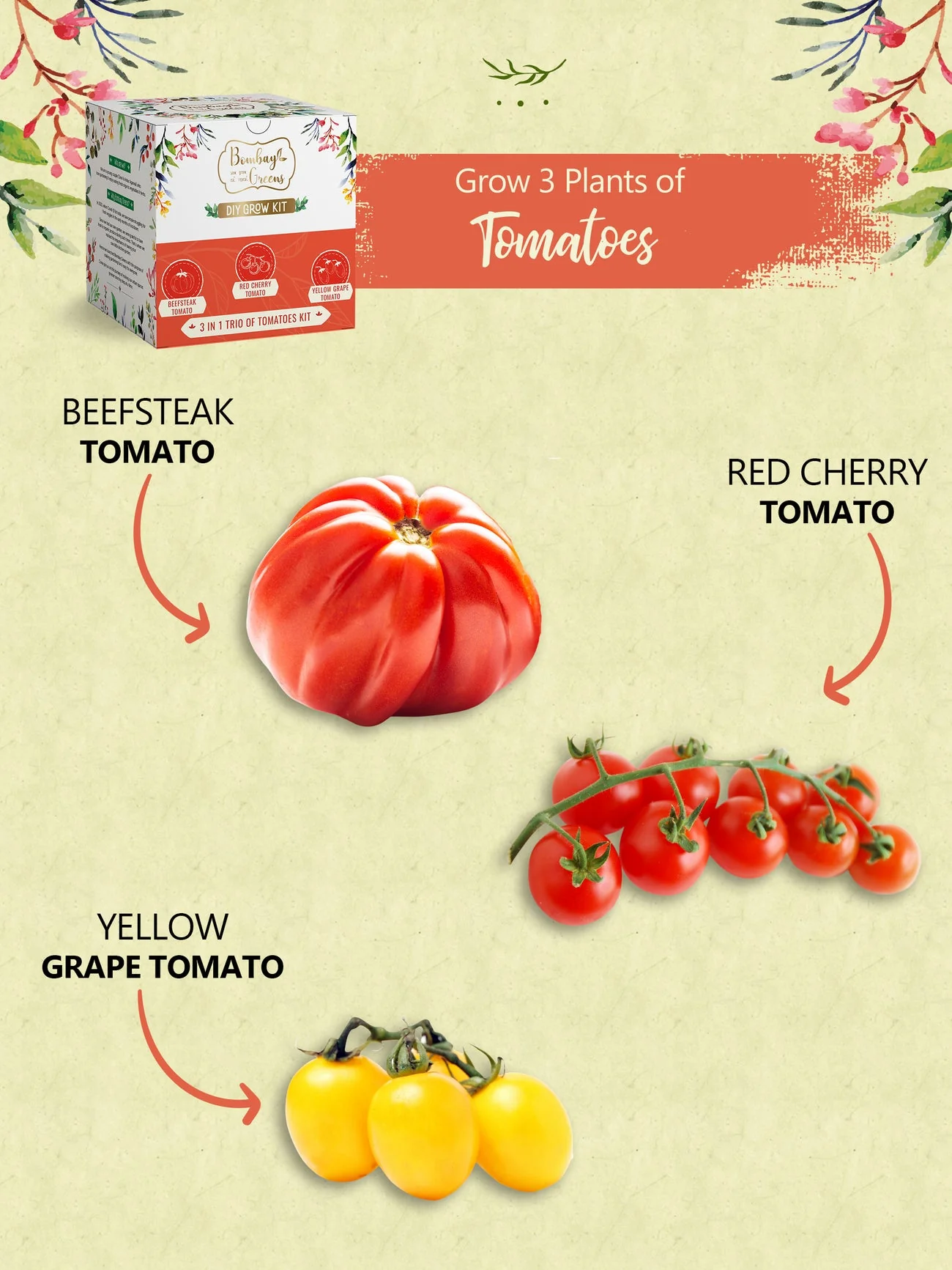 Tomato Kit - Grow Beefsteak, Red Cherry, Yellow Grape - Image 4